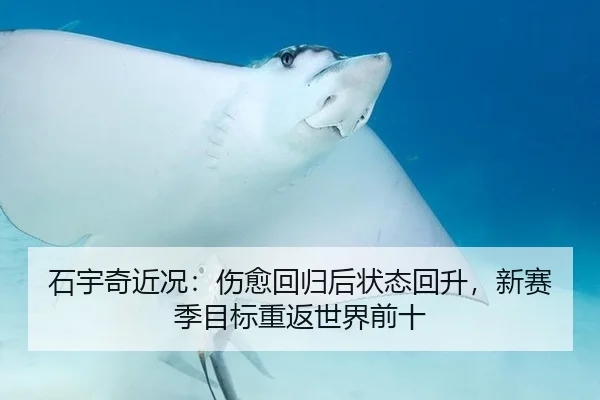 石宇奇近况：伤愈回归后状态回升，新赛季目标重返世界前十